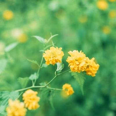 救世英雄九游版下载
